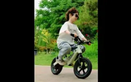 Bicicleta de equilibrio para niños 1337M