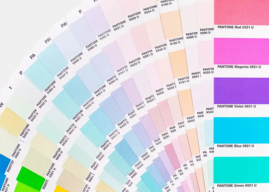 Opciones de color para combinar con su mercado