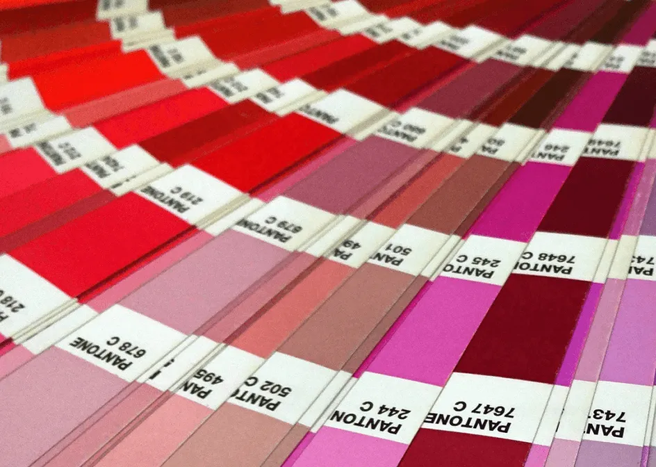 Soluciones de color personalizadas