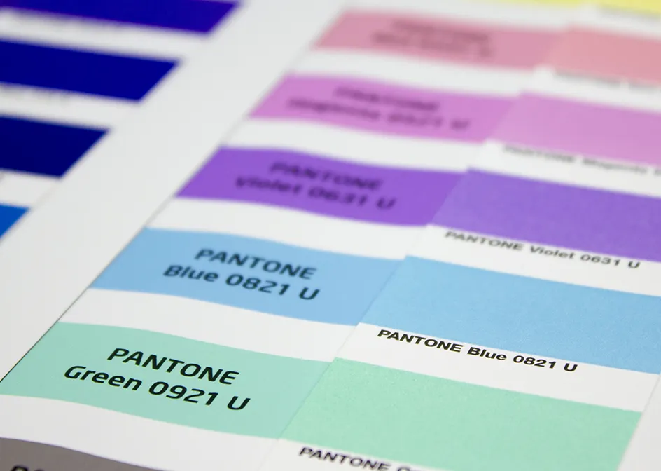 Personalización del color específico del mercado