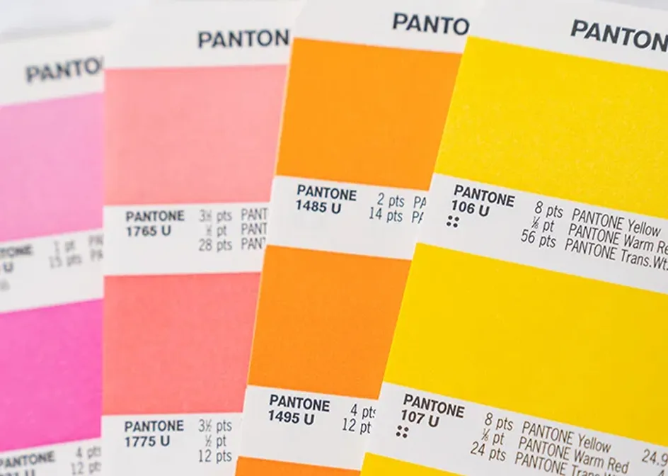 Opciones personalizadas multicolor