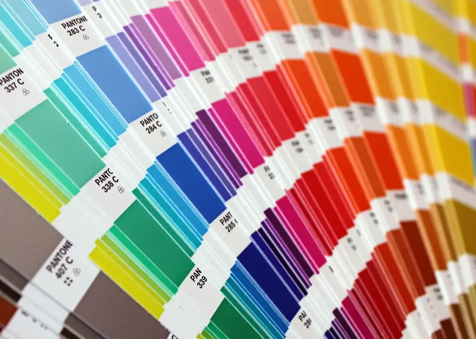 Opciones de color personalizadas