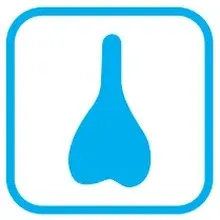 PP
