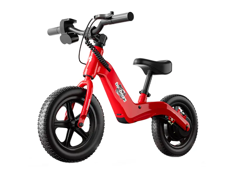 Bicicleta eléctrica de equilibrio de magnesio E01