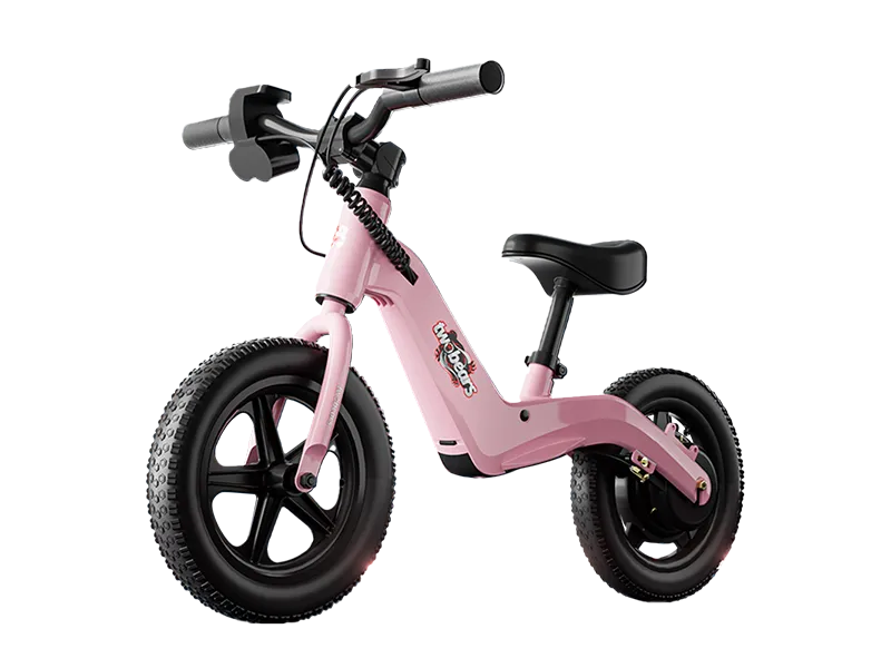 Bicicleta Planeadora eléctrica E01
